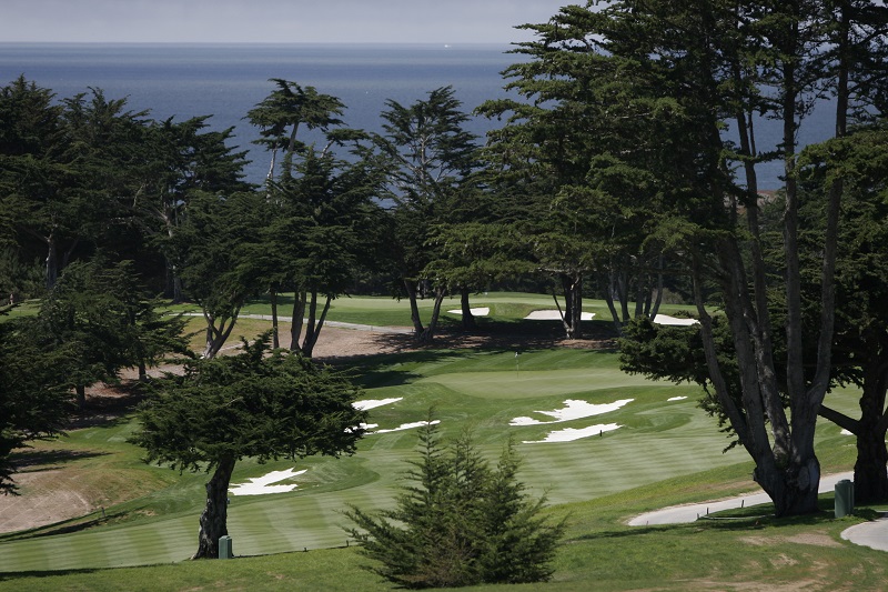Scenic Monterey Peninsula