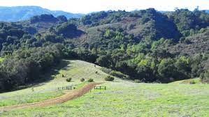 Chaparral Forest and Rolling Hills