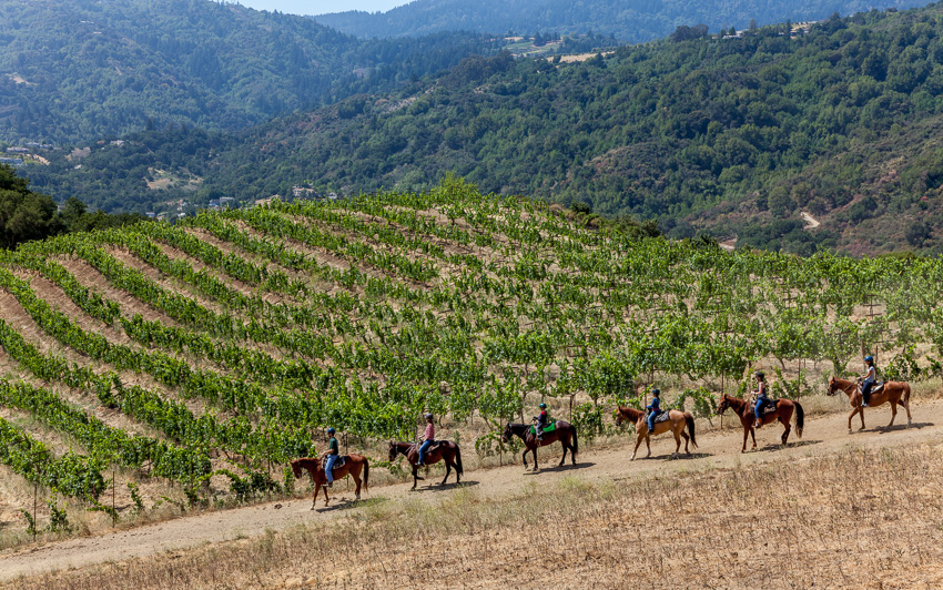 Horseback Riding in the Hills of Saratoga