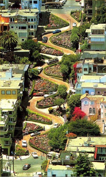 Crookedest Street in San Francisco ( Well 2nd)
