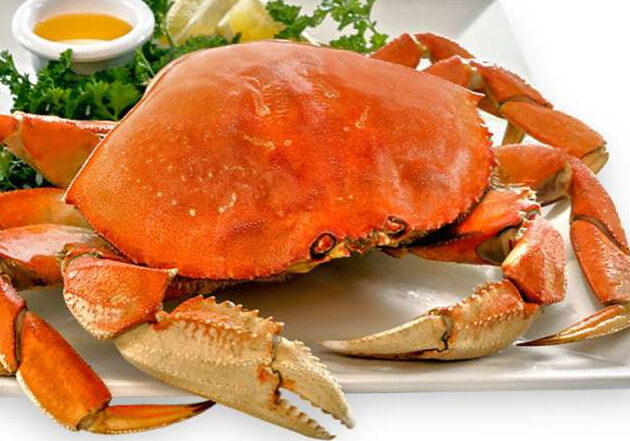 A crab is sitting on the plate with some other crabs.